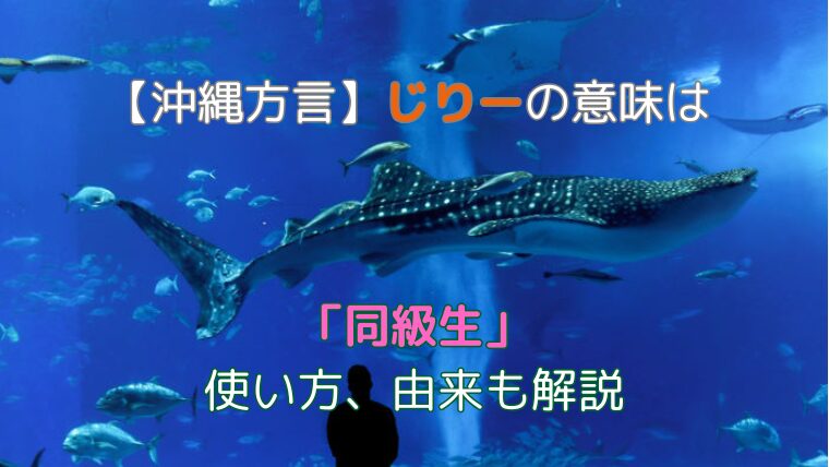沖縄　方言　じりー